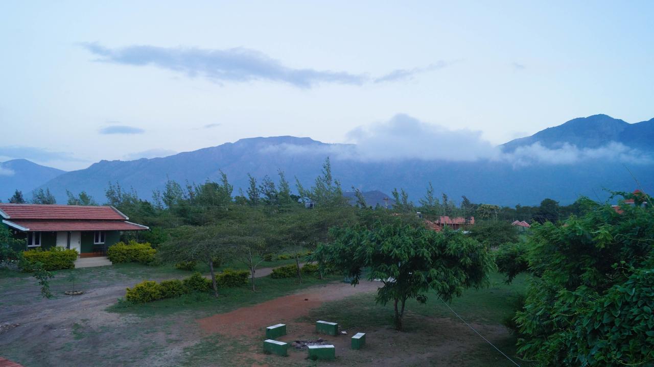 Hôtel Mountain View à Masinagudi Extérieur photo