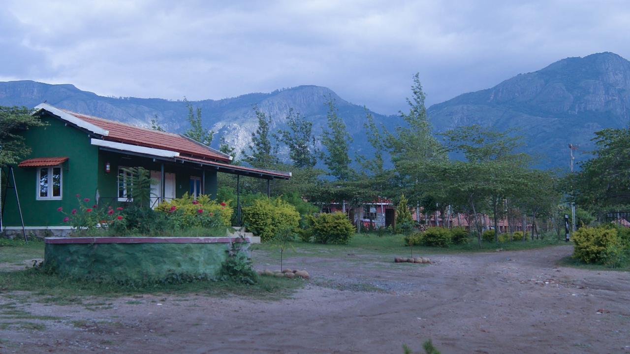 Hôtel Mountain View à Masinagudi Extérieur photo