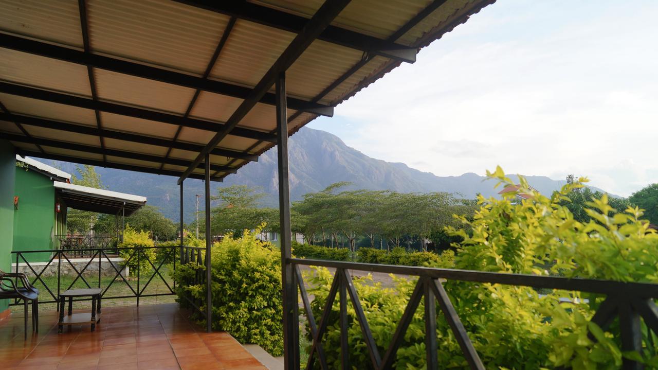 Hôtel Mountain View à Masinagudi Extérieur photo